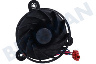 Candy 49123469  Ventilator geeignet für u.a. CHSBSV5172XN, HHSBSO6174X komplett geeignet für u.a. CHSBSV5172XN, HHSBSO6174X