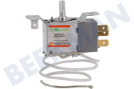Haier 49036134 Tiefkühlschrank Thermostat geeignet für u.a. CTOP130, CHTOP482