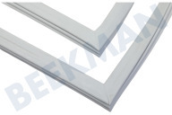 Beko Kühlschrank 4669520600 Türgummi geeignet für u.a. RSSA290M21W, KSSA2933WN