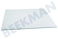 Glasplatte geeignet für u.a. CSA240M21W, RCSA225K20W, RCSA240M30W Im Gefrierfach 401x348mm