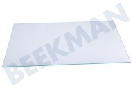 Beko Gefriertruhe 5770720100 Glasablagefach geeignet für u.a. KSSE2620W, RCHE300K20W