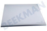 Beko 4918521500 Eiskast Glasplatte Komplett geeignet für u.a. GN163120X, 163120