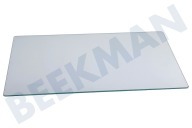 Hanseatic 4561812000 Kühlschrank Glasplatte Gemüseschublade geeignet für u.a. DSA28010, SSA15000