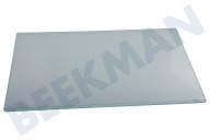 Hanseatic Eisschrank 4618830400 Glasplatte geeignet für u.a. CSA29000, CSA24032, DSA28001S