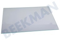 Beko Kühlschrank 4299893600 Glasablagefach geeignet für u.a. SSE26006, SSE26026
