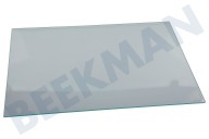 Glasplatte geeignet für u.a. DSE25036, B1754FN Ablagefach