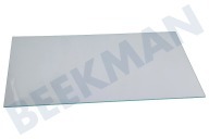 Teka 4655591000 Kühlschrank Glas-Ablagefach geeignet für u.a. KDSA2430WN, BLSA16020S, GSMI20330N