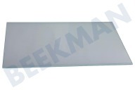 Altus 4629840500 Tiefkühlschrank Glasplatte geeignet für u.a. RBI6301LH, KD1440