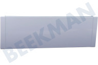 Beko 4892020100 Gefrierschrank Gefrierfachklappe geeignet für u.a. KS13200, TS190320