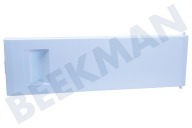 Ikea 4331750800 Eiskast Gefrierfachklappe geeignet für u.a. BU1153, BU1152HCA Gefrierfachtür geeignet für u.a. BU1153, BU1152HCA