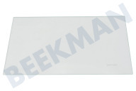 Gram 4350798800  Glasplatte geeignet für u.a. DSE30030, BU1101