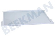 Franke 163336 Kühlschrank Glasplatte geeignet für u.a. RFI4274W, RK4295W Komplett inklusive Abisolieren geeignet für u.a. RFI4274W, RK4295W