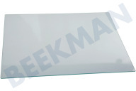 Upo 459397 Tiefkühlschrank Glasplatte geeignet für u.a. FN6192PB, FNE6192CW