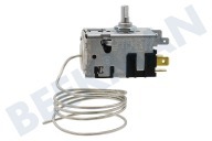 Smeg 596249 Kühlschrank Thermostat geeignet für u.a. RBIU6134W, K337CLA 077B6532 Danfoss geeignet für u.a. RBIU6134W, K337CLA