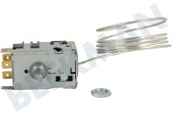 Brandt 596279 Eisschrank Thermostat geeignet für u.a. RB60299OR, R6164W 077B6738 Danfoss-13 / -33 Grad geeignet für u.a. RB60299OR, R6164W