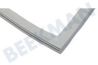 Dichtungsgummi geeignet für u.a. CBNef481520B093 magnetisch
