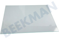 Liebherr 7276106 Kühlschrank Glasplatte geeignet für u.a. G351320001, GP351320001 3,2 mm Sicherheitsglas geeignet für u.a. G351320001, GP351320001