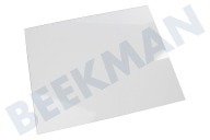 Liebherr Kühlschrank 7271807 Glasplatte geeignet für u.a. G1231200, G1223201