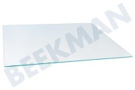 Liebherr  7271838 Glasplatte geeignet für u.a. GP137620, GPESF1476