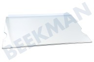 Liebherr Kühlschrank 7271962 Glasplatte geeignet für u.a. KSL2814, CTP2121