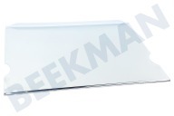 Liebherr Kühler 7276218 Glasplatte geeignet für u.a. CNP475820A, CP481520A