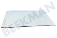 Glasplatte geeignet für u.a. KP422021D088, K427022001 inkl. Leisten