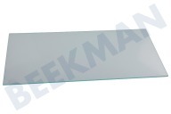 Liebherr Kühlschrank 7271358 Glasablagefach geeignet für u.a. C382520A001, C352520A001