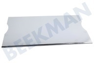 7272672 Glasplatte geeignet für u.a. IKB275020001, SIKB355020137 Komplett, Bio-Premium