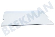 Liebherr 9293882 Gefrierschrank Glasplatte geeignet für u.a. CN303324, CUN30332, CUP272123 mit Zierleisten geeignet für u.a. CN303324, CUN30332, CUP272123