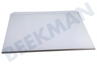 Liebherr Kühlschrank 7272876 Glasplatte geeignet für u.a. CNel481320A116