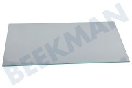 Liebherr 7271839 Kühlschrank Glasplatte geeignet für u.a. GPesf147620, GP137620 klein, Sicherheitsglas geeignet für u.a. GPesf147620, GP137620