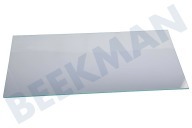 Liebherr 7271680 Kühlschrank Glasplatte geeignet für u.a. GPesf147620, GP137620 klein, Sicherheitsglas, 3,2 mm geeignet für u.a. GPesf147620, GP137620