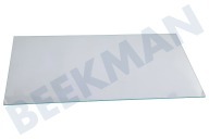 Liebherr 7271849 Kühlschrank Glasplatte geeignet für u.a. GN1066, GNP1066, GN1056