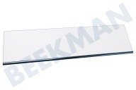 Glasplatte geeignet für u.a. CTN365320, ICBN305621 für Flaschenablage in der Tür