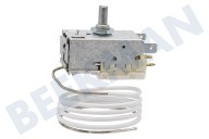 6151087 Kühlschrank Thermostat geeignet für u.a. Kapillarrohr 950mm K59-H2800-L2621 -31-19 + 5g geeignet für u.a. Kapillarrohr 950mm