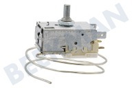 Alternative 6151178 Eisschrank Thermostat geeignet für u.a. KTE1740 K59-L2665 Kapl. 46cm geeignet für u.a. KTE1740