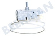 Liebherr 6151808 Kühler Thermostat geeignet für u.a. T1410, K2330, KT1430 K57-S5587 Kap. L = 530 geeignet für u.a. T1410, K2330, KT1430