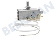 Liebherr 6151813 Eisschrank Thermostat geeignet für u.a. TP151421C, Ksl281420B