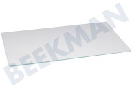 Glasplatte geeignet für u.a. ALG160G, ARB578S01, 46,8x29,5cm