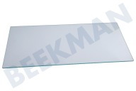 Wegawhite  480132102676 Glasplatte geeignet für u.a. ART870GK, ART499NF5