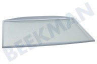 Polar C00517595 Eisschrank Glasplatte geeignet für u.a. WM1500, KRA1601, WBE2311 komplett mit Rand, 460x310mm geeignet für u.a. WM1500, KRA1601, WBE2311