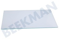 Hotpoint 481010667585  Glasplatte geeignet für u.a. BSNF9152W, KG335AIN, BSNF8421W Gefrierschublade, unten, 420 x 248,6 mm geeignet für u.a. BSNF9152W, KG335AIN, BSNF8421W