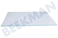 Ikea Kühlschrank 481010826635 Glasplatte geeignet für u.a. ARG18015A, ZSIN1801AA