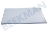 Whirlpool Gefrierschrank 481010472410 Glastplatte geeignet für u.a. ARG852AS, ART6712ASF