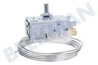 Thermostat geeignet für u.a. ARL 470 ART 328-KVC 2446 A13 0103
