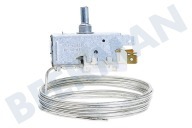 Philips/Whirlpool 484000008688 Tiefkühler Thermostat geeignet für u.a. RSK 360 VT920000000 geeignet für u.a. RSK 360