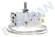 Thermostat geeignet für u.a. ARL353G, ART4032, ARG4173 K59L1942500