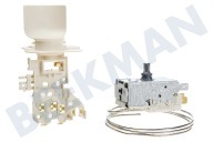 Ranco  Thermostat geeignet für u.a. ART4834, KGIK3200A Ranco K59S1884500 + Lampenfassung ersetzt A13 0697 geeignet für u.a. ART4834, KGIK3200A