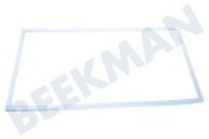 Pelgrim 162633 Eiskast Türdichtung Kühlschrank geeignet für u.a. KK1304AP01, KB8304MP01