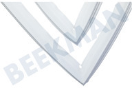 Etna 557673 Tiefkühlschrank Dichtungsgummi geeignet für u.a. KVV855 Kühlschrank geeignet für u.a. KVV855